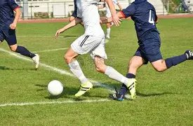 亚冬会奇景,好友同行,尽享锅包肉,双赢彩票,互动竞猜平台,在线娱乐,预测挑战,双赢彩票APP下载