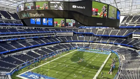 美国国土安全部与“政府效率部”联手开展合作